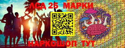 гашик Нарткала