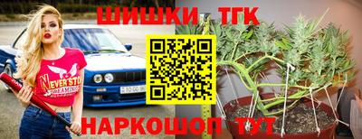 стафф Нальчик