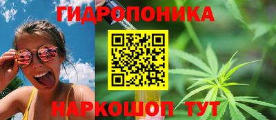 стафф Нальчик