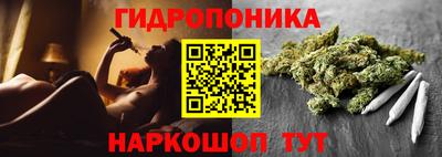 гашик Нарткала