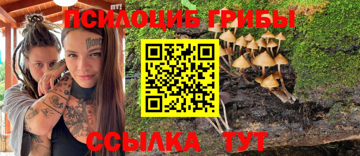 Галлюциногенные грибы MAGIC MUSHROOMS  Вход с VPN  Старая Купавна  Псилоцибиновые грибы прущие грибы 
