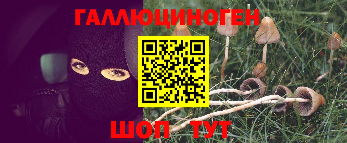 Псилоцибиновые грибы прущие грибы Старая Купавна